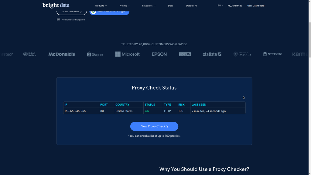 Bright Data Online Proxy Checker