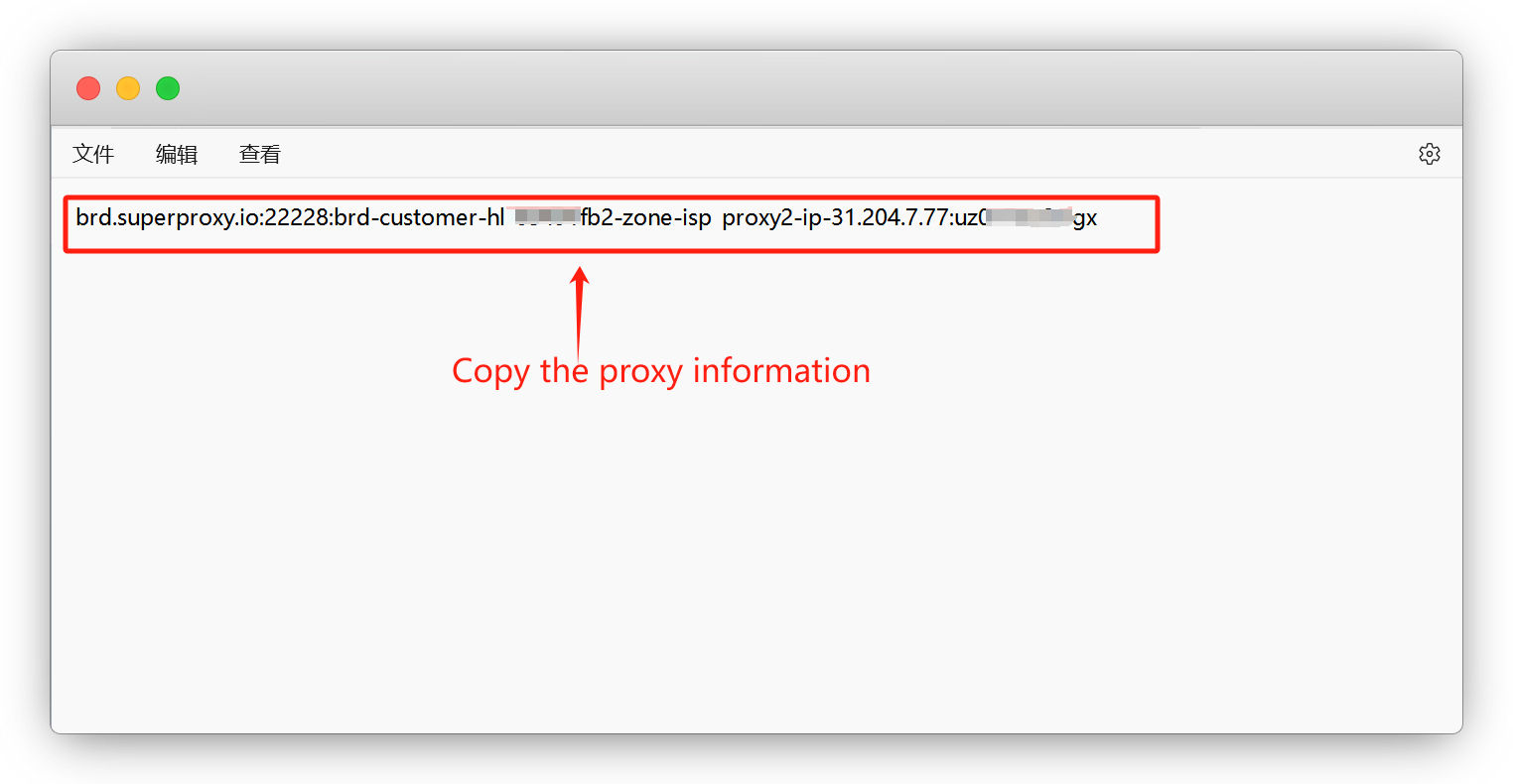 proxy details example