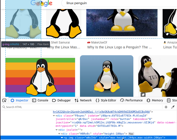 Inspecting an image on Google Images