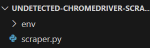 scraper.py in the project folder